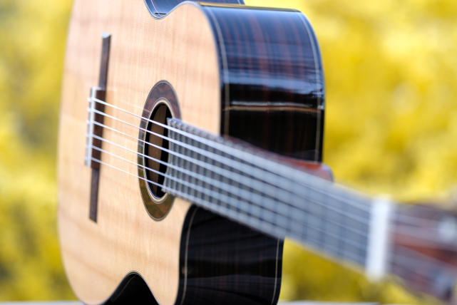 Collings OM1